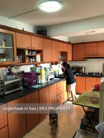 Blk 14 Dover Close East (Queenstown), HDB 5 Rooms #186312422